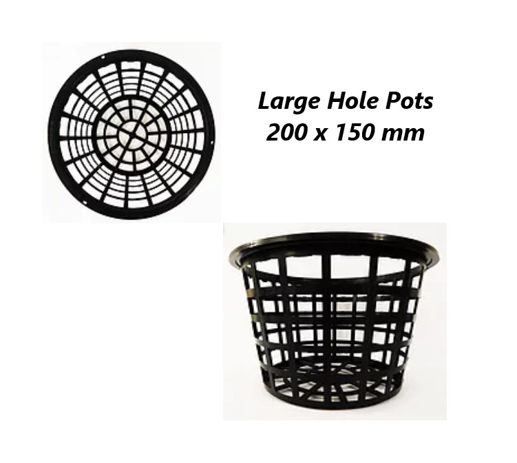 Orchid Basket Pots Large Hole 200 x 150 mm Pack of 3 / 5 Stanhopea Hydroponics