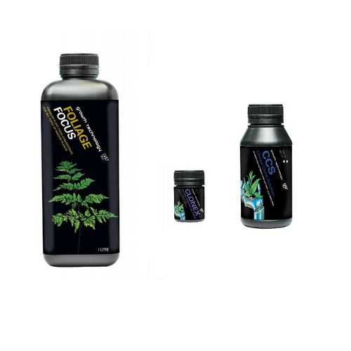 GT FOLIAGE FOCUS 1L + CLONEX GEL + CCS SOLUTION - INDOOR PLANT