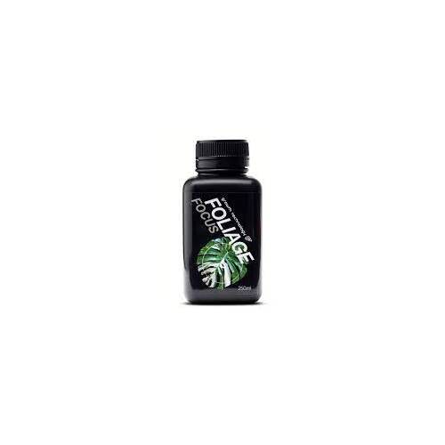 GT FOLIAGE FOCUS 250ML - INDOOR PLANT FERTILISER