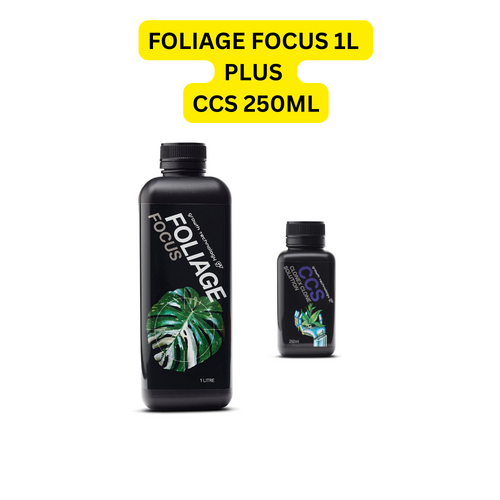 GT FOLIAGE FOCUS 1L + CCS SOLUTION 250ML - INDOOR PLANT NUTRIENT