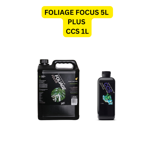 GT FOLIAGE FOCUS 5L + CCS SOLUTION 1L - INDOOR PLANT NUTRIENT