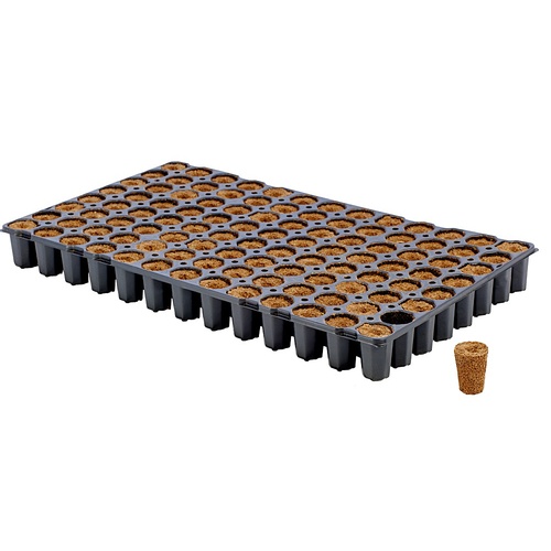 Eazy Plug Round Tray of 104