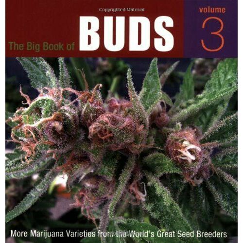 THE BIG BOOK OF BUDS VOLUME 3 ED ROSENTHAL