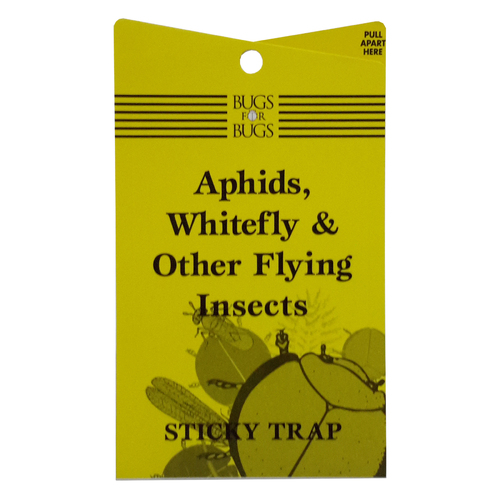 Yellow Sticky Fly Trap Bugs 4 Bugs for Aphids, Whitefly & Flying Insects