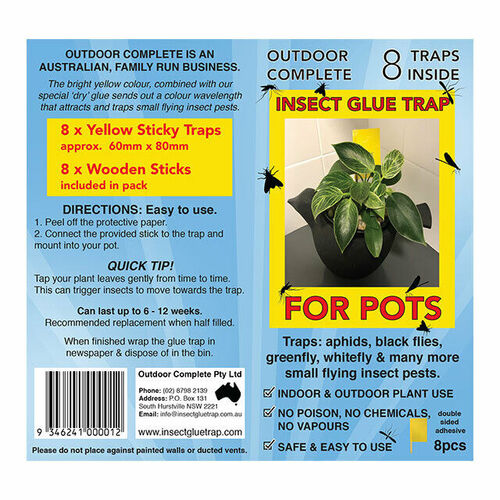 Insect Glue Trap for Pots 8 Traps Pack - Sticky Fly Trap Hydroponics
