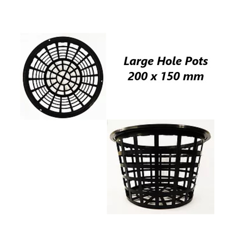 Orchid Basket Pots Large Hole 200 x 150 mm Pack of 3 / 5 Stanhopea Hydroponics 