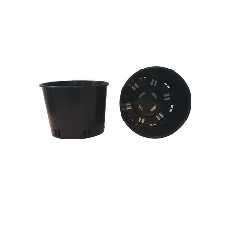 Orchid Pot 100mm x 75mm - Port Squat Pot