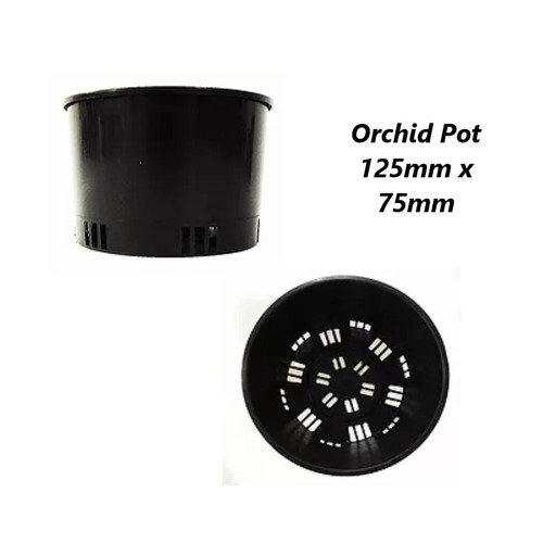 Orchid Pot 125mm x 75mm - Port Squat Pot