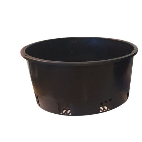 Orchid Pot 200mm x 100mm Port Squat Pot