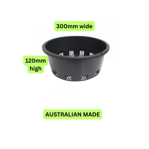 ORCHID POT 300MM X 120MM PORT SQUAT