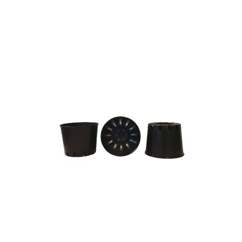 Orchid Pot 80mm x 65mm - Port Squat Pot