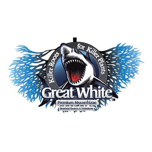 Great White